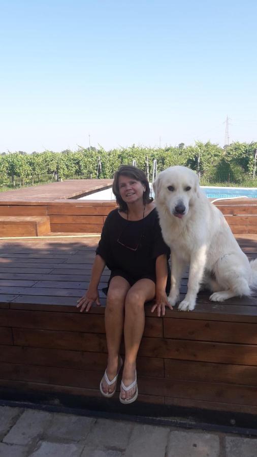 Tenuta Crescentini-Vallemura ,Appartamenti Con Entrata Indipendente San Donà di Piave Kültér fotó