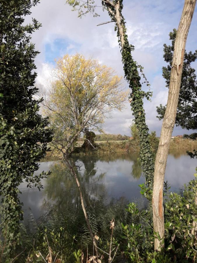 Tenuta Crescentini-Vallemura ,Appartamenti Con Entrata Indipendente San Donà di Piave Kültér fotó