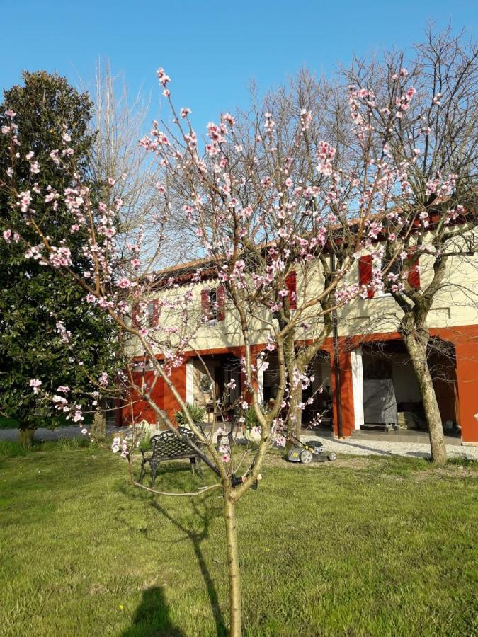 Tenuta Crescentini-Vallemura ,Appartamenti Con Entrata Indipendente San Donà di Piave Kültér fotó