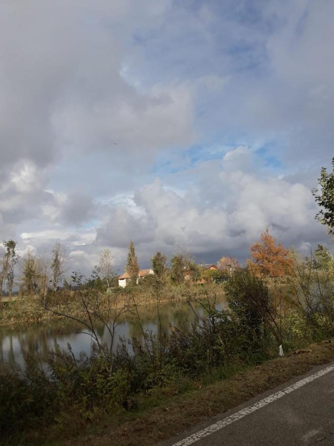 Tenuta Crescentini-Vallemura ,Appartamenti Con Entrata Indipendente San Donà di Piave Kültér fotó