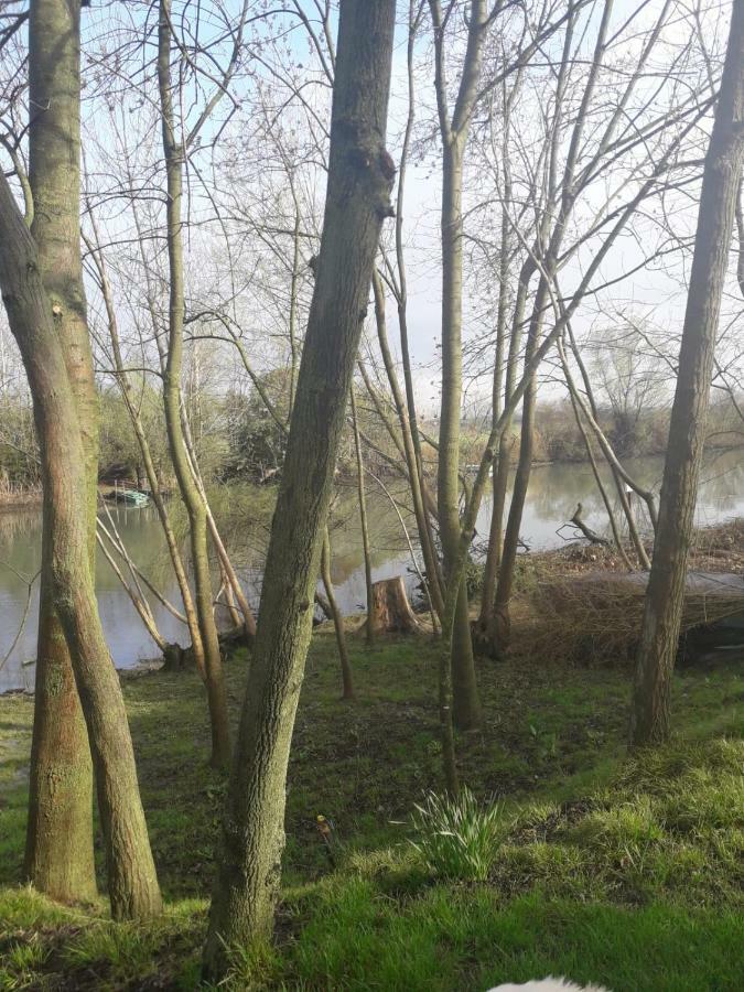 Tenuta Crescentini-Vallemura ,Appartamenti Con Entrata Indipendente San Donà di Piave Kültér fotó