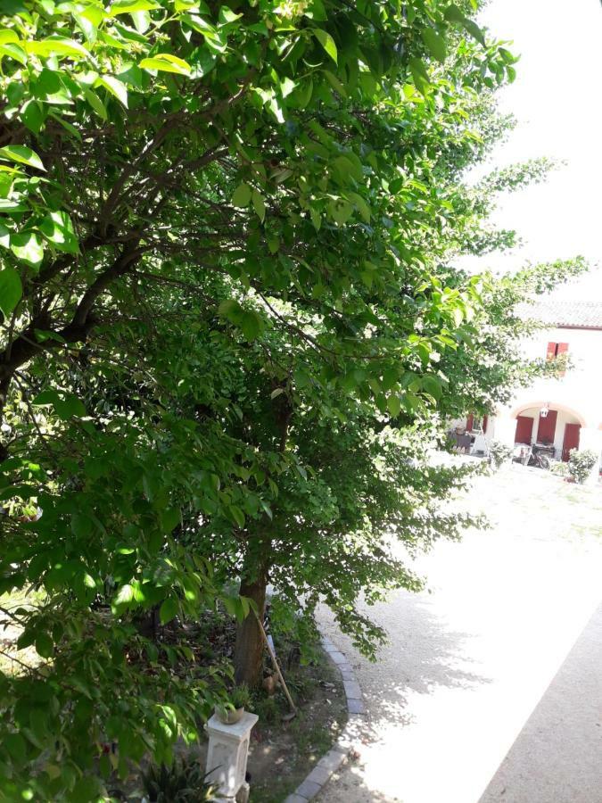 Tenuta Crescentini-Vallemura ,Appartamenti Con Entrata Indipendente San Donà di Piave Kültér fotó