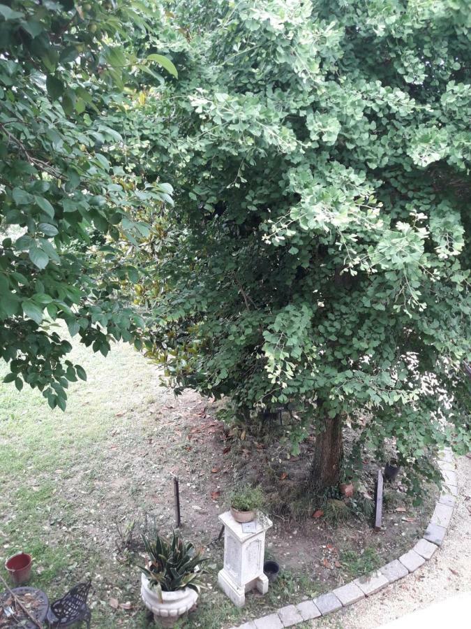Tenuta Crescentini-Vallemura ,Appartamenti Con Entrata Indipendente San Donà di Piave Kültér fotó
