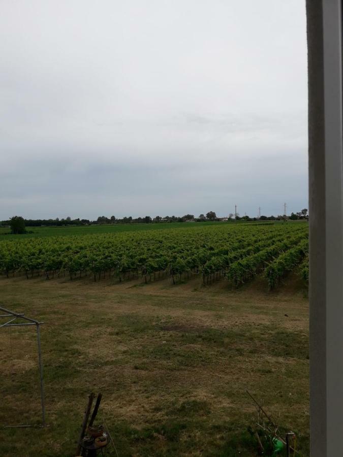 Tenuta Crescentini-Vallemura ,Appartamenti Con Entrata Indipendente San Donà di Piave Kültér fotó