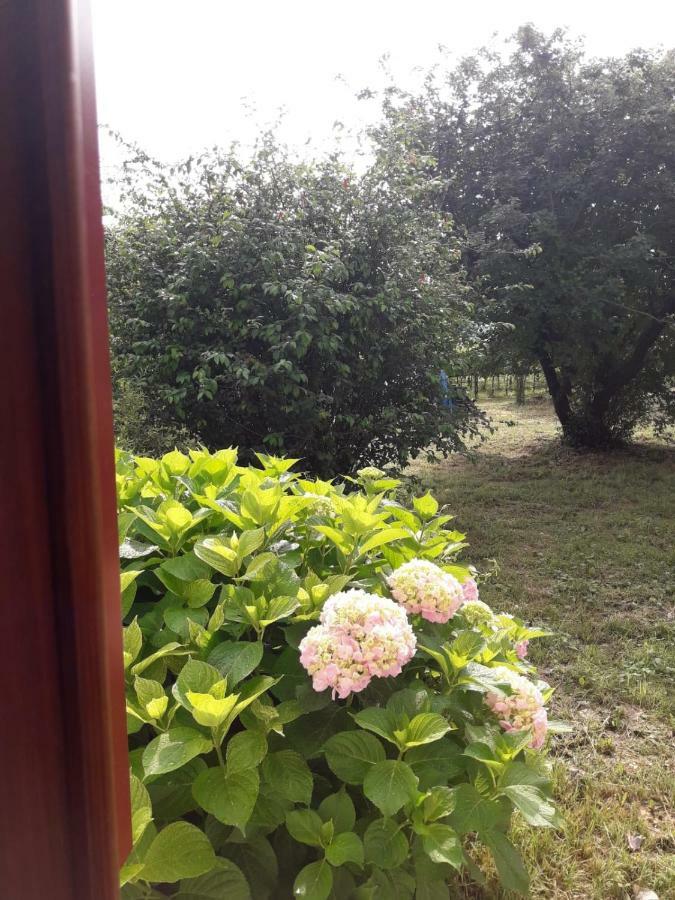 Tenuta Crescentini-Vallemura ,Appartamenti Con Entrata Indipendente San Donà di Piave Kültér fotó
