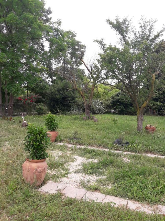 Tenuta Crescentini-Vallemura ,Appartamenti Con Entrata Indipendente San Donà di Piave Kültér fotó