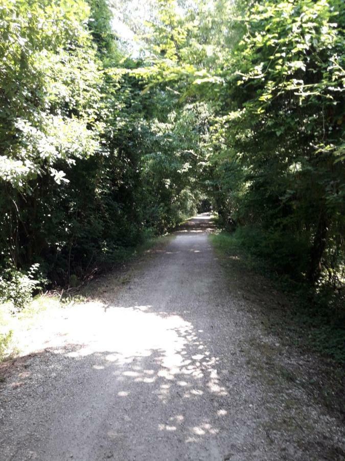 Tenuta Crescentini-Vallemura ,Appartamenti Con Entrata Indipendente San Donà di Piave Kültér fotó