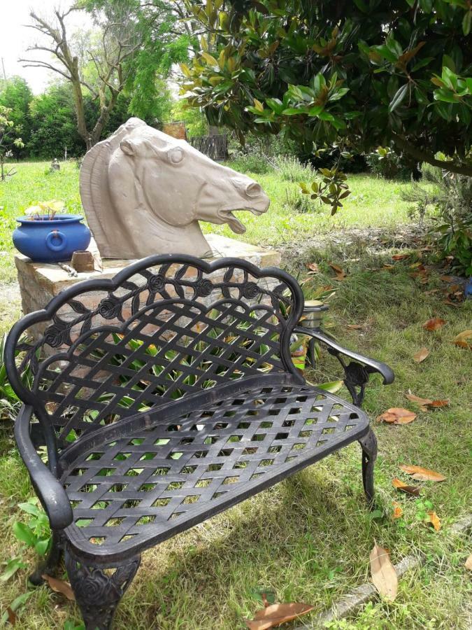 Tenuta Crescentini-Vallemura ,Appartamenti Con Entrata Indipendente San Donà di Piave Kültér fotó