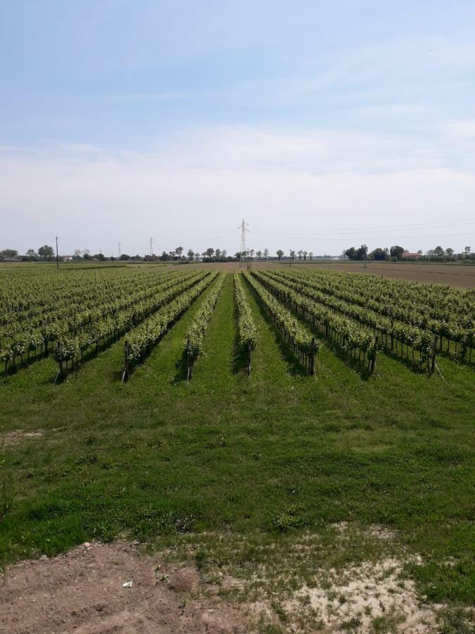 Tenuta Crescentini-Vallemura ,Appartamenti Con Entrata Indipendente San Donà di Piave Kültér fotó