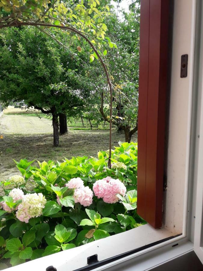 Tenuta Crescentini-Vallemura ,Appartamenti Con Entrata Indipendente San Donà di Piave Kültér fotó