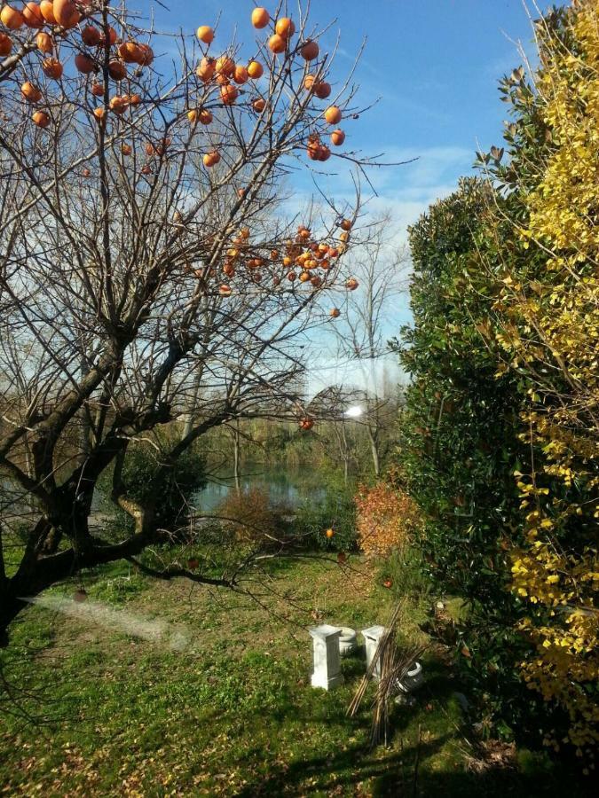 Tenuta Crescentini-Vallemura ,Appartamenti Con Entrata Indipendente San Donà di Piave Kültér fotó