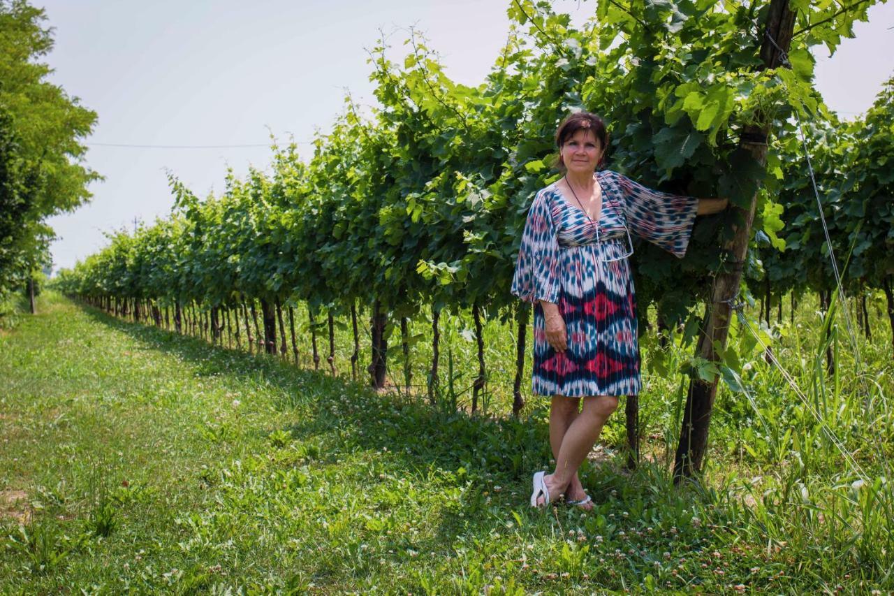Tenuta Crescentini-Vallemura ,Appartamenti Con Entrata Indipendente San Donà di Piave Kültér fotó